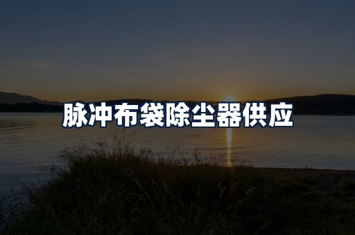 脉冲布袋除尘器供应